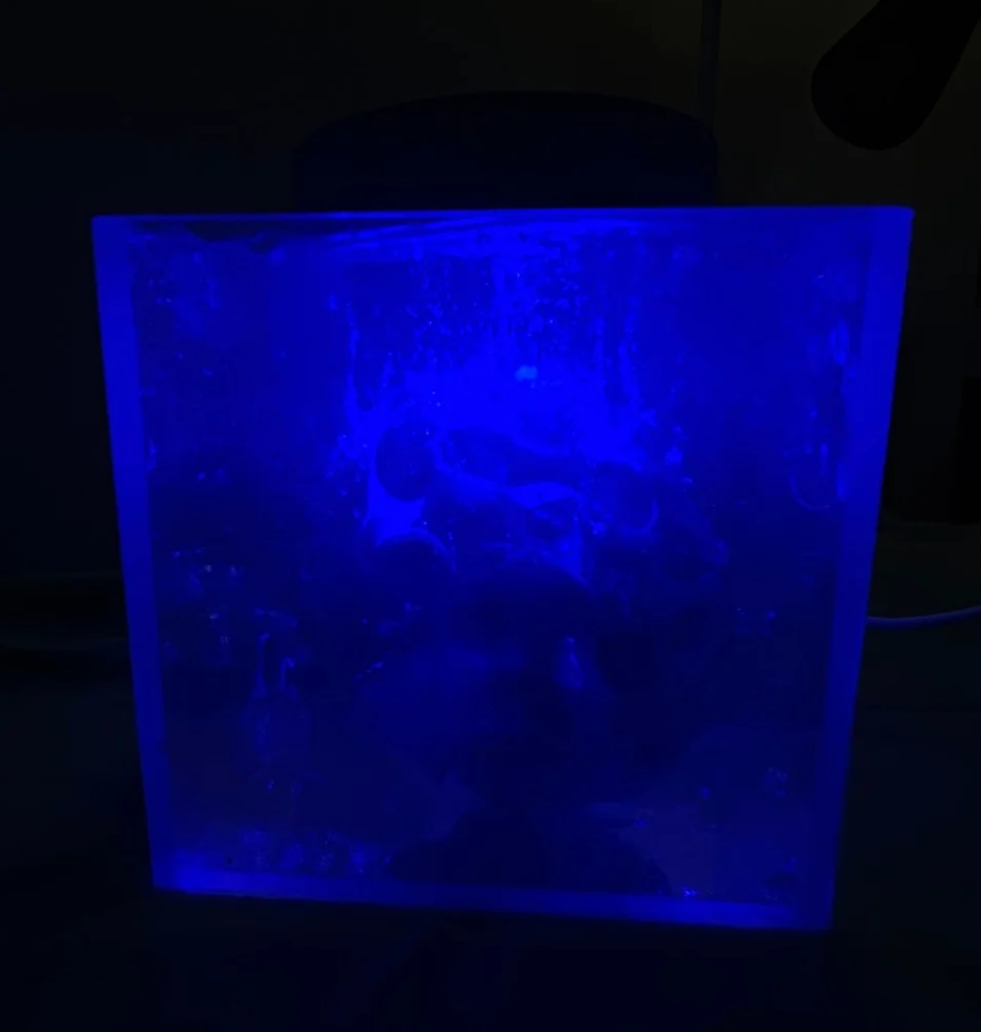 (signed) This Is Not What Thought / Yuri Hasegawa